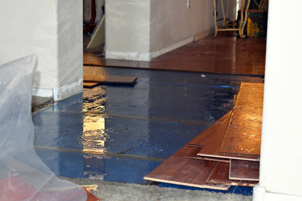 Professional Basement Flood Cleanup technician working in Rodney, MI